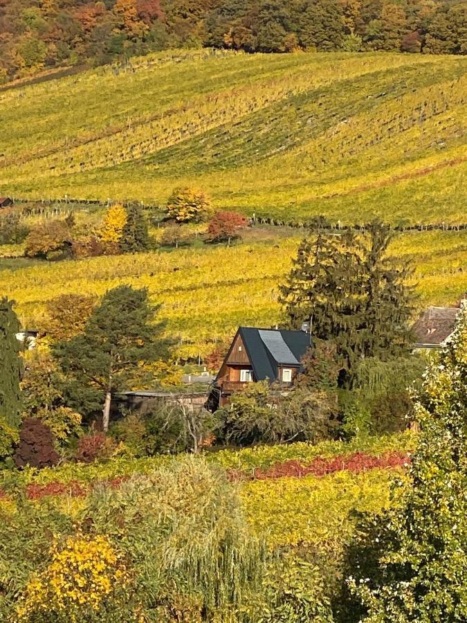Vacationhome In The Vineyards Vienna Luaran gambar