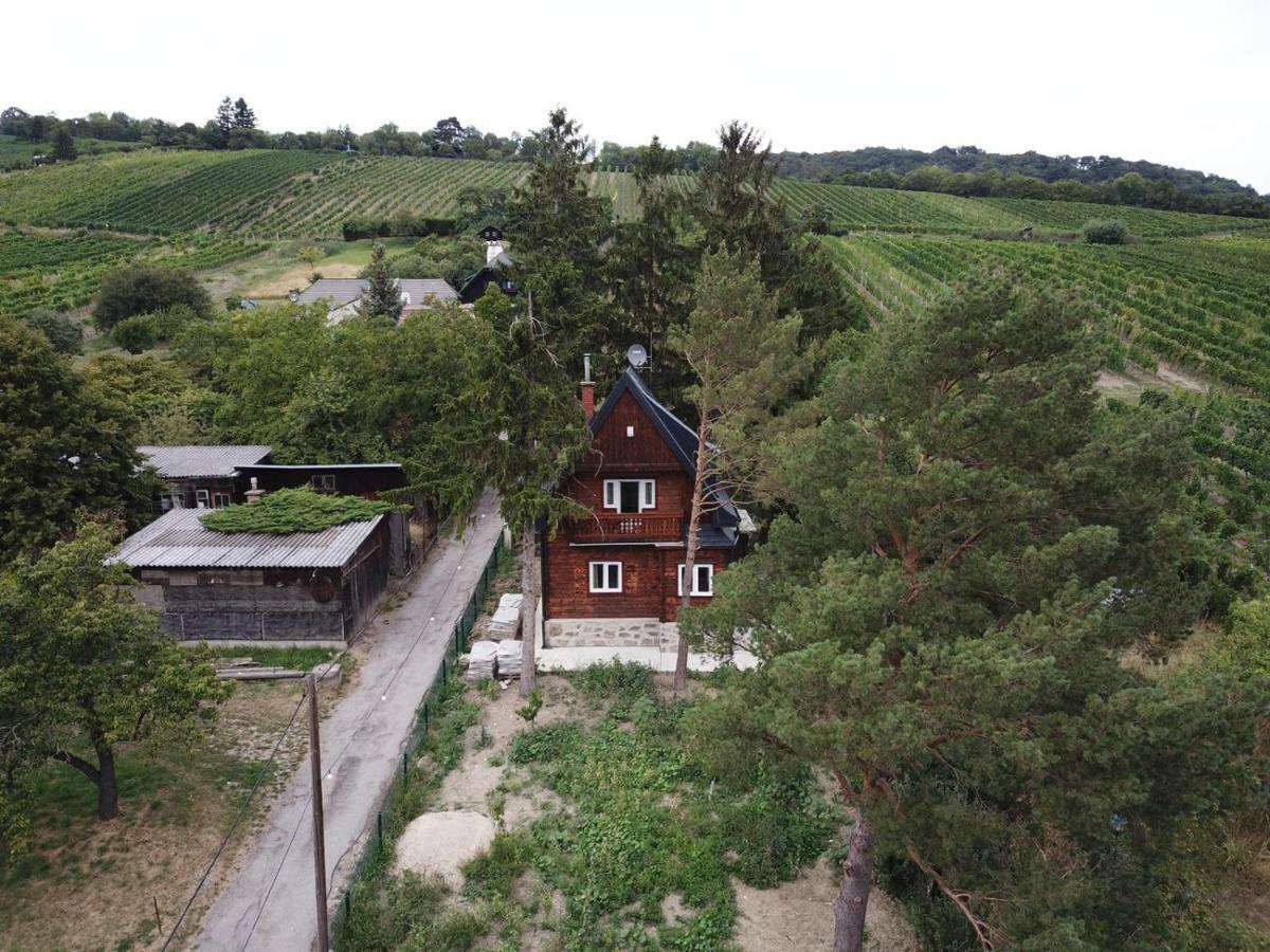 Vacationhome In The Vineyards Vienna Luaran gambar