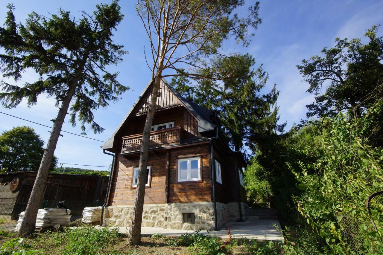 Vacationhome In The Vineyards Vienna Luaran gambar