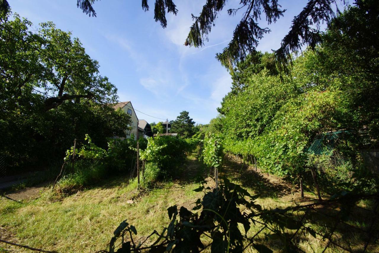 Vacationhome In The Vineyards Vienna Luaran gambar